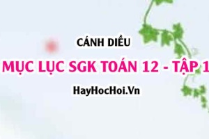 Mục lục SGK Toán 12 tập 1 Cánh diều - Lý thuyết và bài tập Toán 12 tập 1 Cánh diều